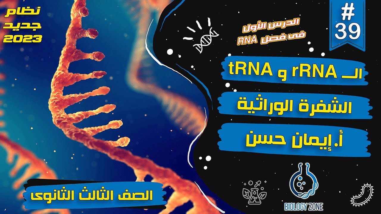 #39 | شرح درس RNA وتخليق البروتين (الـ tRNA و rRNA و الشفرة الوراثية) | احياء تالته ثانوى 2023 🧬💯✅