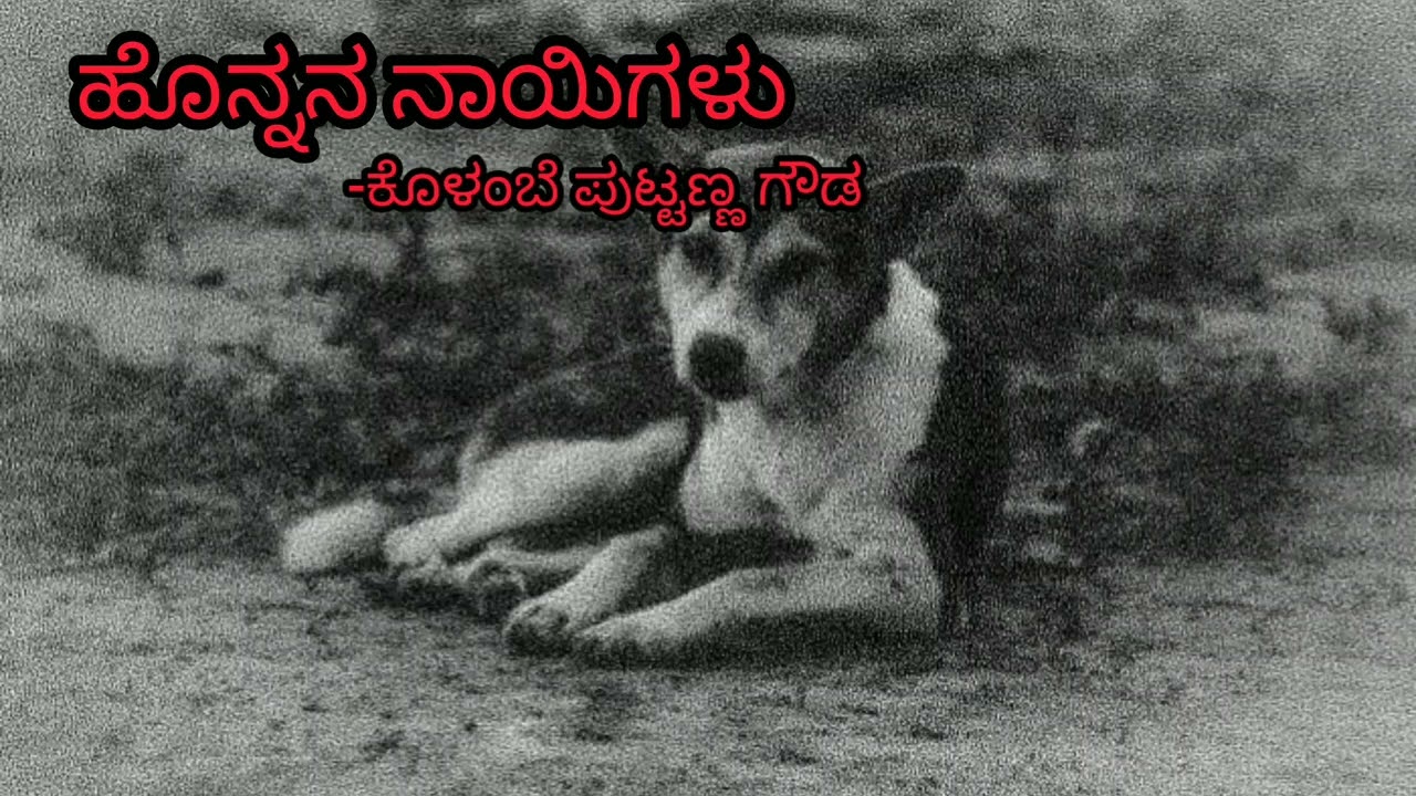 ಹೊನ್ನನ ನಾಯಿಗಳು |Honnana Nayigalu| ಕೊಳಂಬೆ ಪುಟ್ಟಣ್ಣಗೌಡ | Kannada storyteller| Kolambe Puttanna Gowda