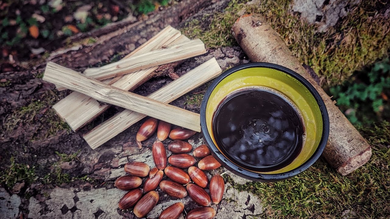 café à la poudre de glands de chêne