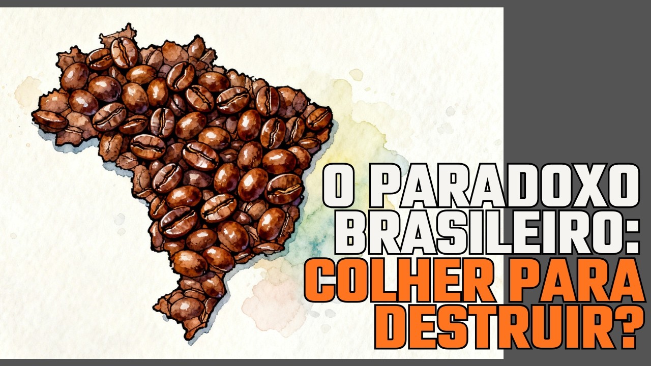 Como o Brasil Queimou 78 MILHÕES de Sacas de Café na Crise de 29!