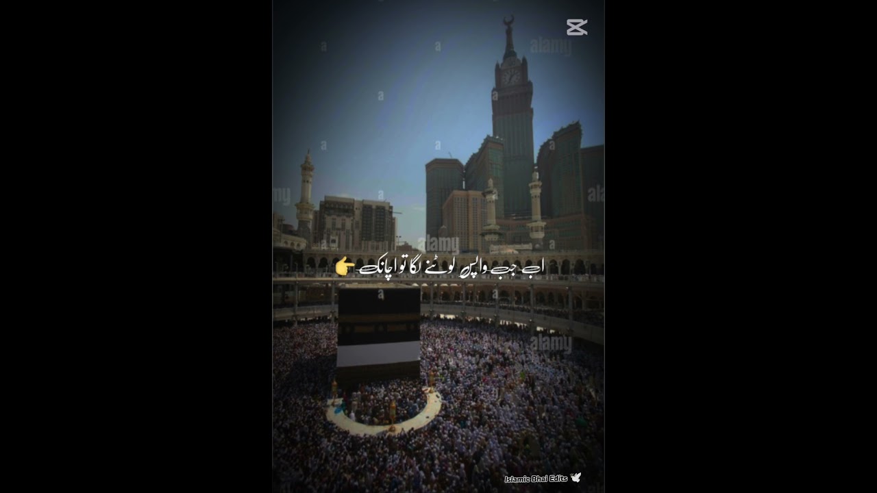 28 January 2026