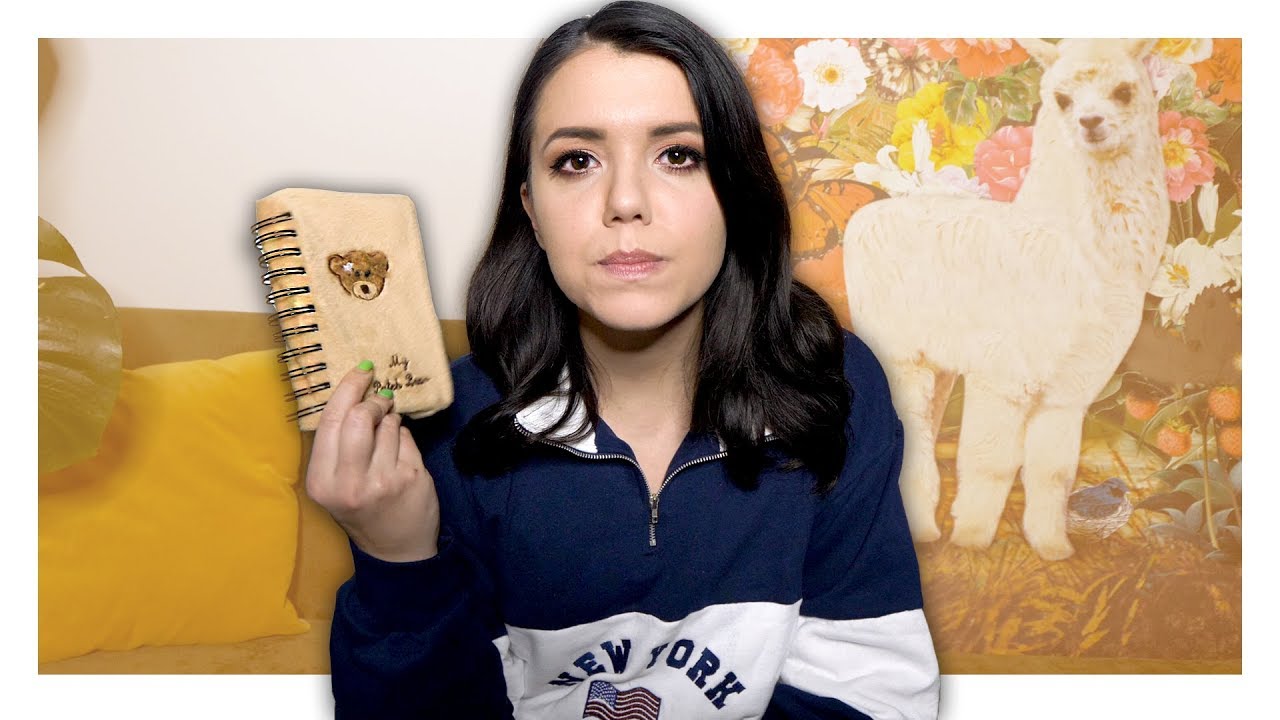 Ich lese aus meinem Tagebuch vor! | DrawMyDiary 10