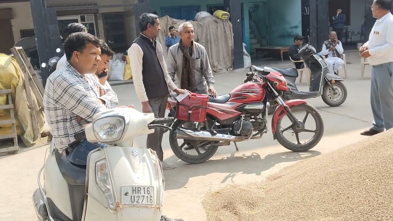 भिवानी मंडी से ग्वार का शनिवार लाइव बोली भाव देखें 22 फरवरी 2026