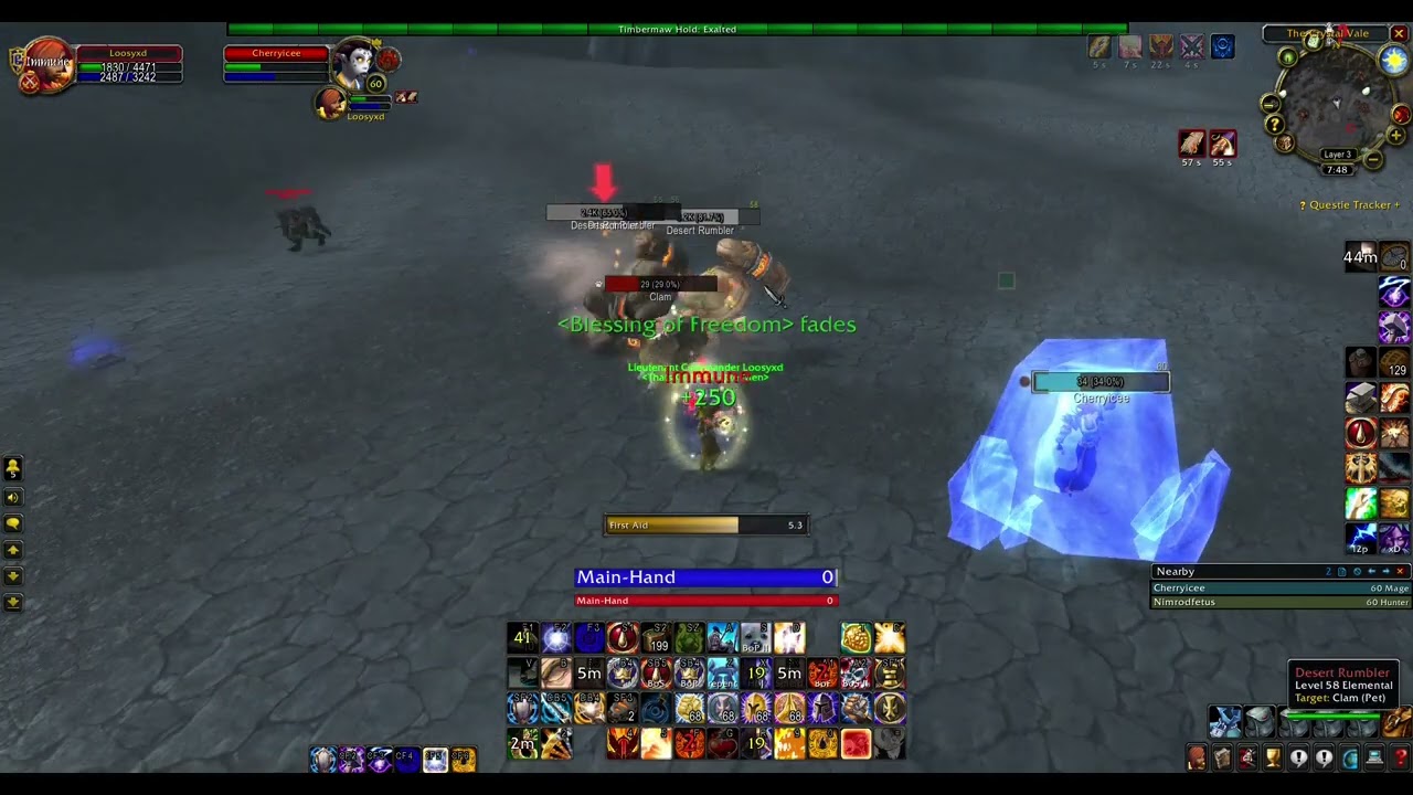 WoW Classic Anniversary: Rank 10 Retribution Paladin World PvP, Ganking & L2Peeeage