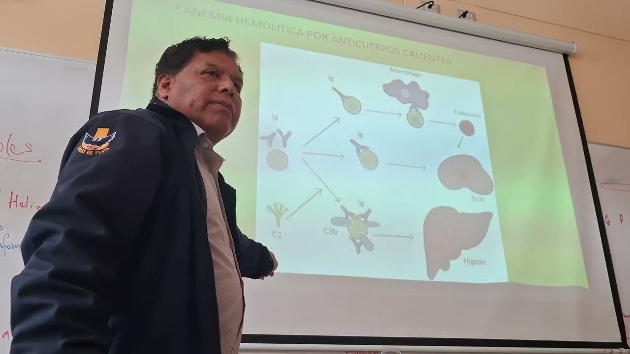 07  Anemia hemolítica autoinmune y congénita   Dr  Vragas