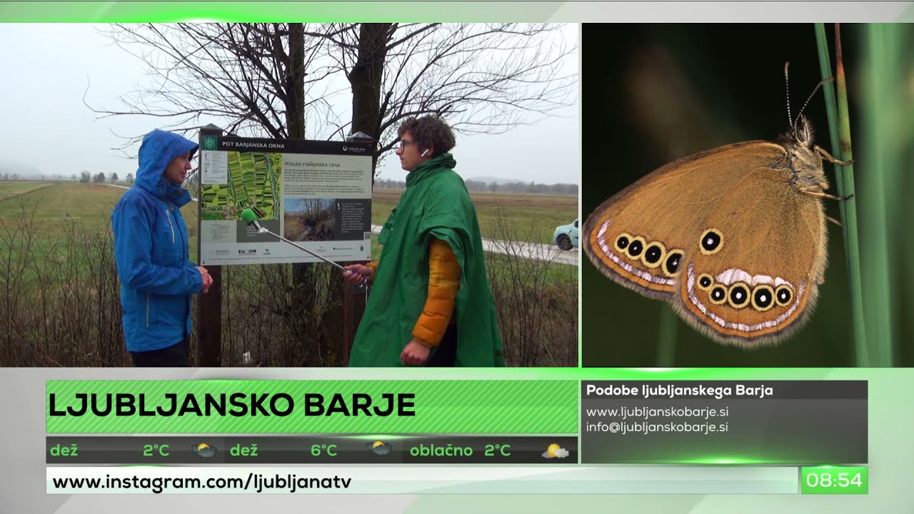 Naravovarstvena svetovalka JZ KP Ljubljansko barje (Maša Bratina)
