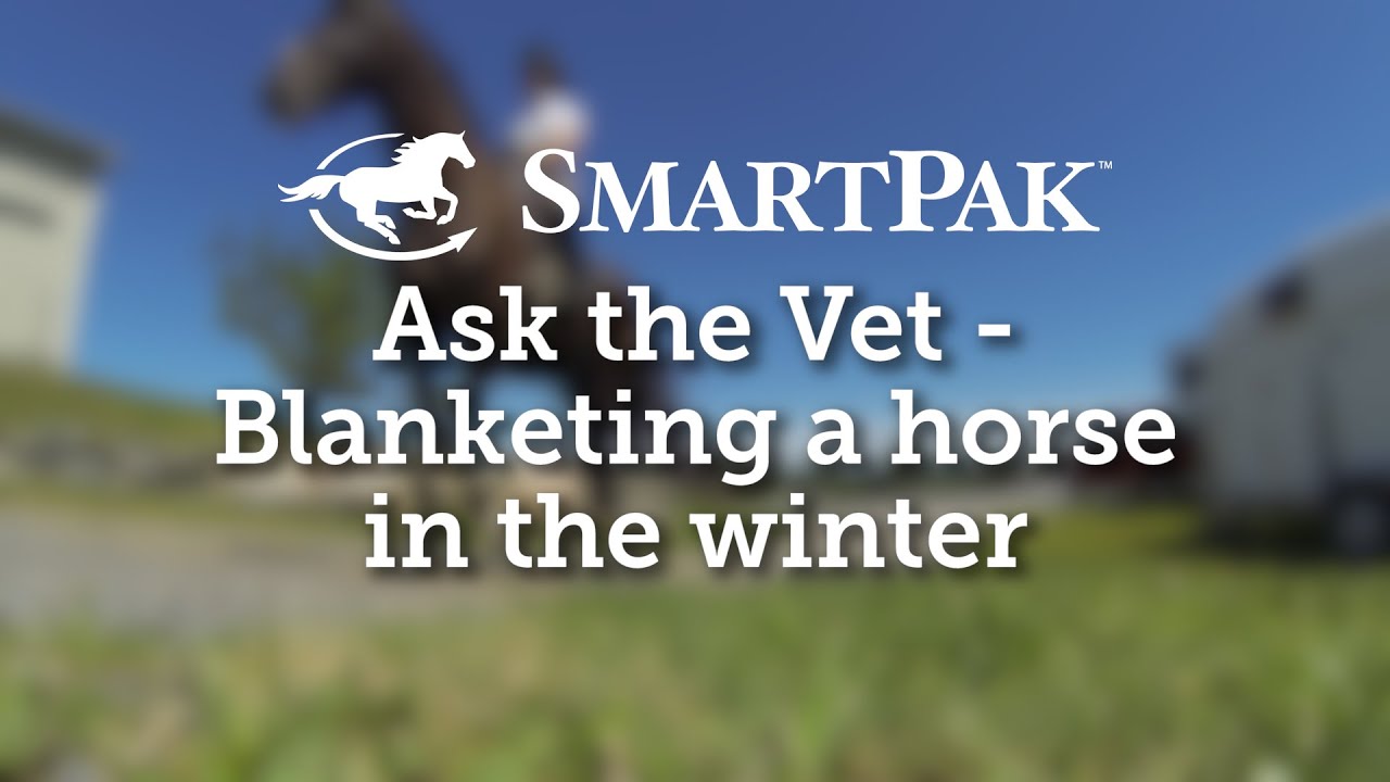 Ask the Vet - Blanketing a horse in the winter