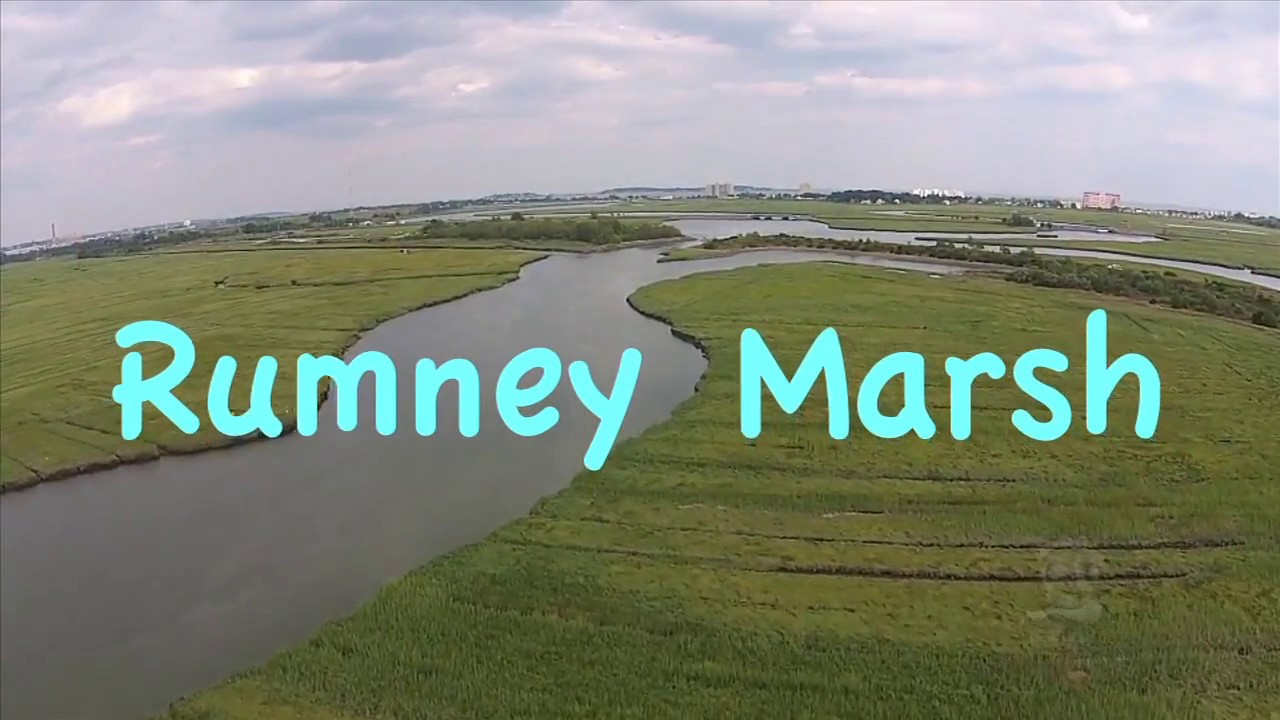 Rumney Marsh