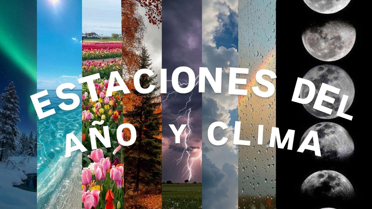 Estaciones del año y Clima LSA (Lengua de Señas Argentina)