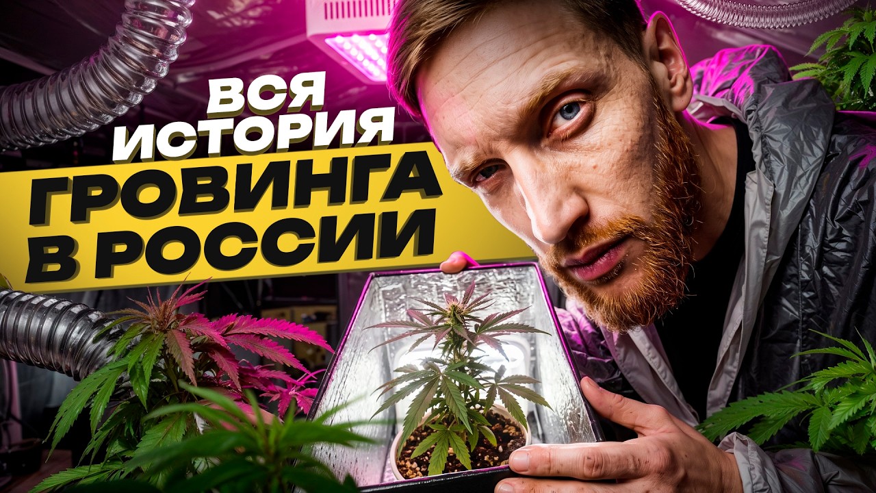 ⚠️ Сколько Живут Гроверы?! 10 РАСТЕНИЙ = ТЮРЬМА? Эволюция Гровинга: От гаражей до Даркнета