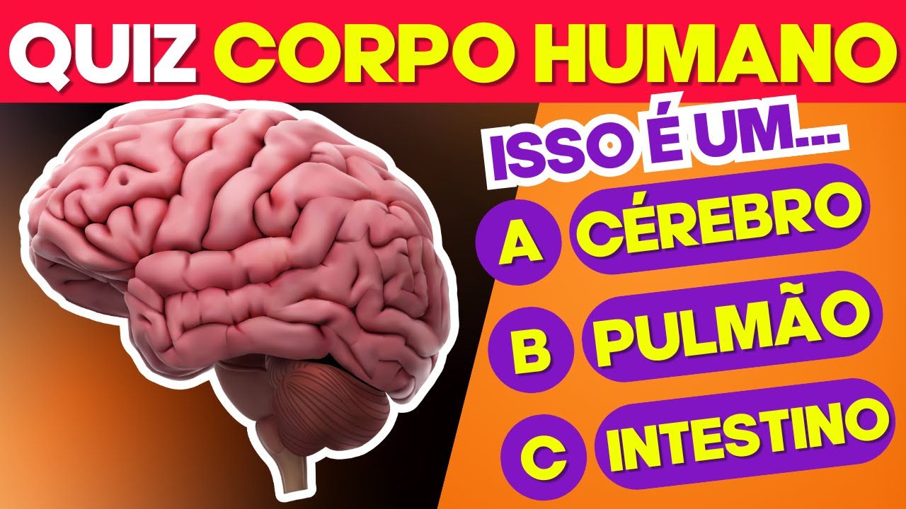 SUPER QUIZ CORPO HUMANO | Planeta Quiz