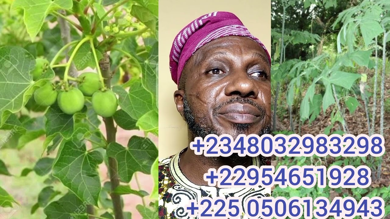 ITUWO ASINA OLOJA, +2348032983298, +22954651928,? 22554813446