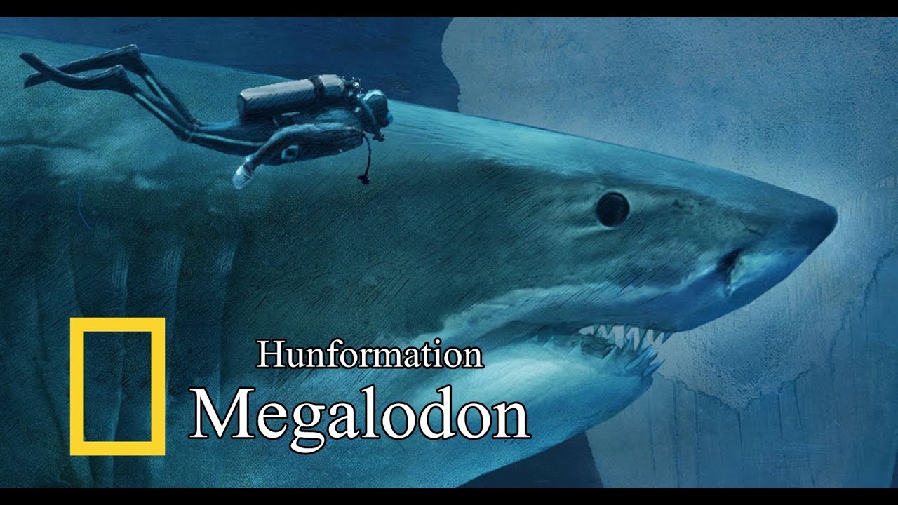 Hunformation | Megalodon (HD)