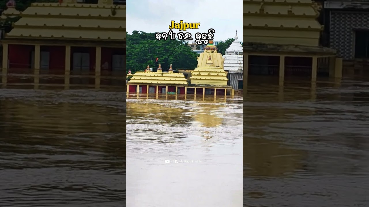 Jajpur Flood 2026 🌊🙏 | Heartbreaking Flood Situation in Odisha | #shorts