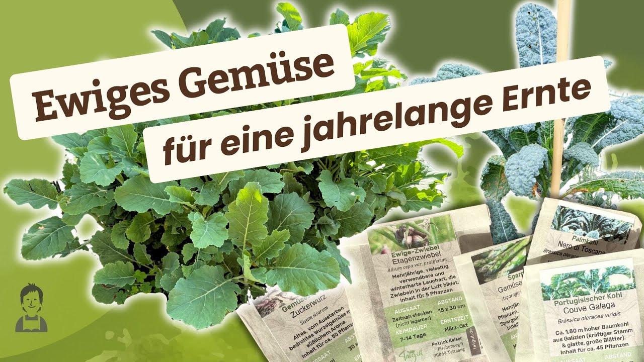 11 Sorten Dauergemüse ohne jährliche Ansaat