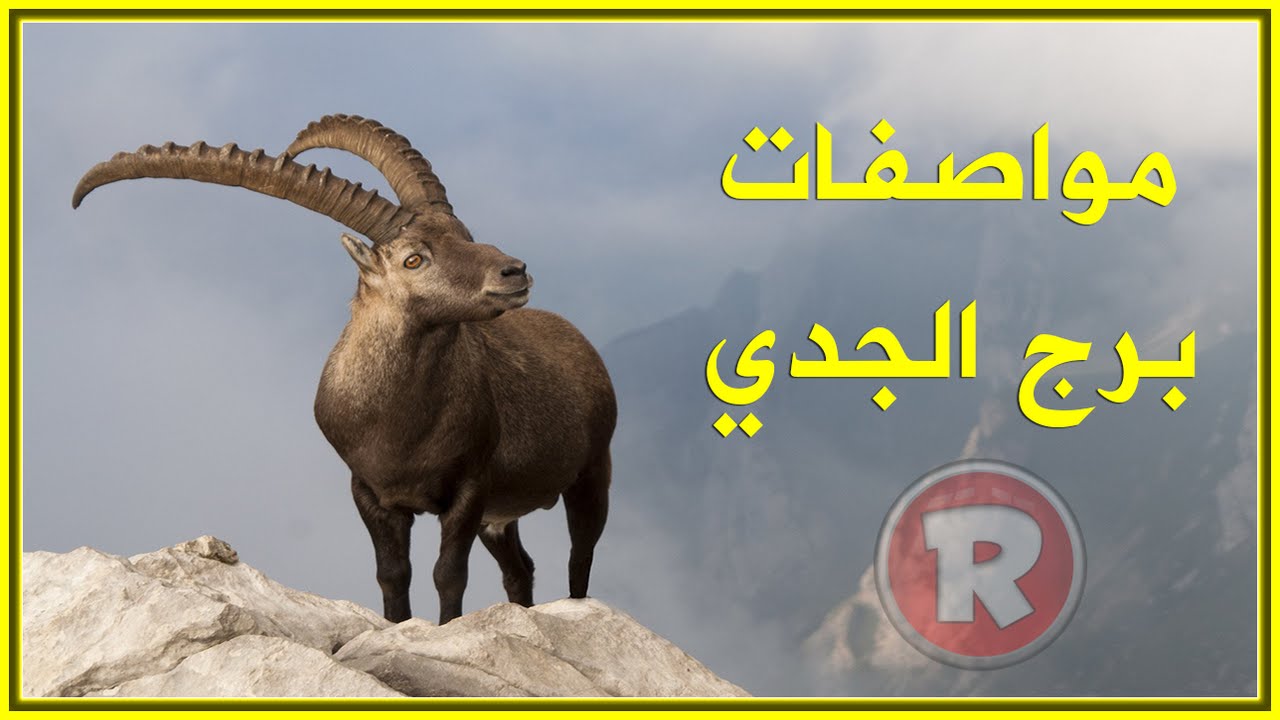 مواصفات برج الجدي