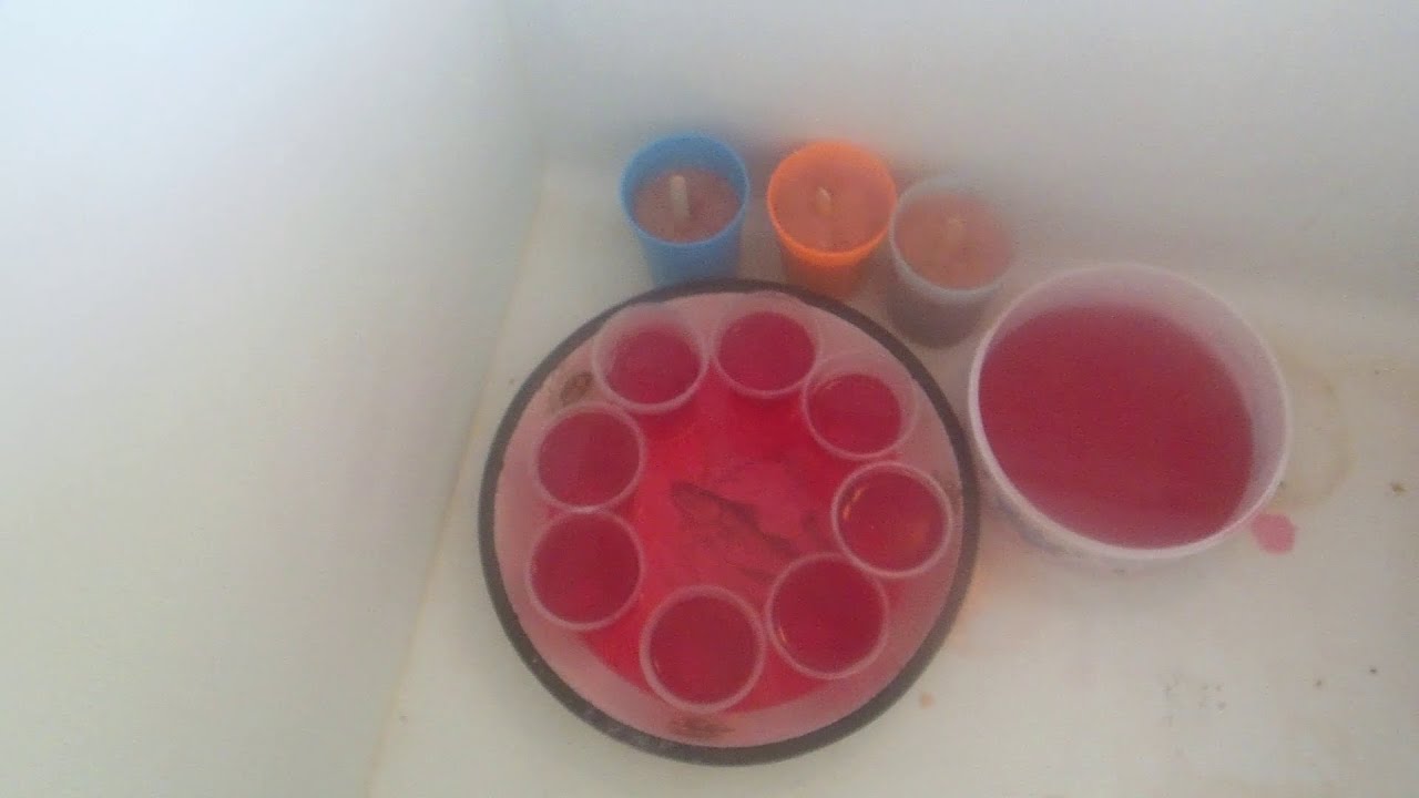 A COCINAR CON OSITO- PREPARACION DE CREMOLADAS ,GELATINA DE FRESA Y FLAN