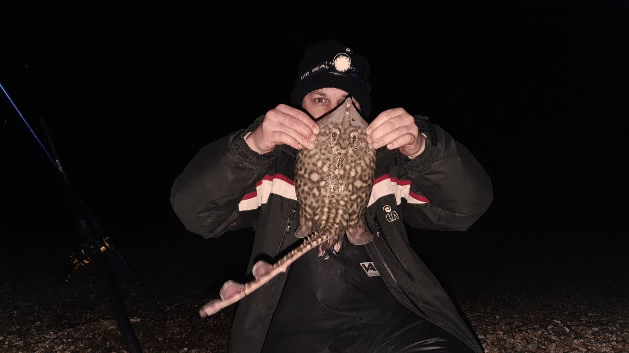 Sea fishing UK Catching Thornback Rays - Has Been a Long Time!