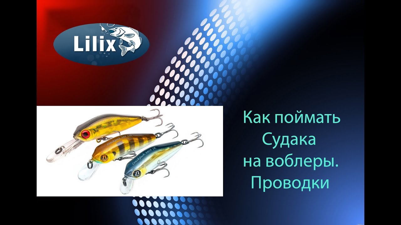 Как поймать Судака на воблеры. Проводки