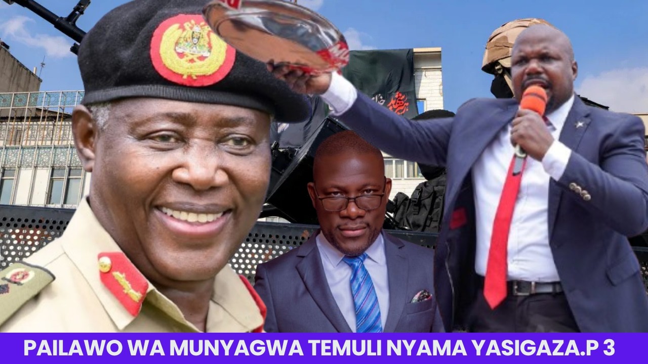 MUNYAGWA AKIGUDDEKO,MBU PILAWO WE TEMULI NYAMA,GENERO AMUSEKEREDDE!
