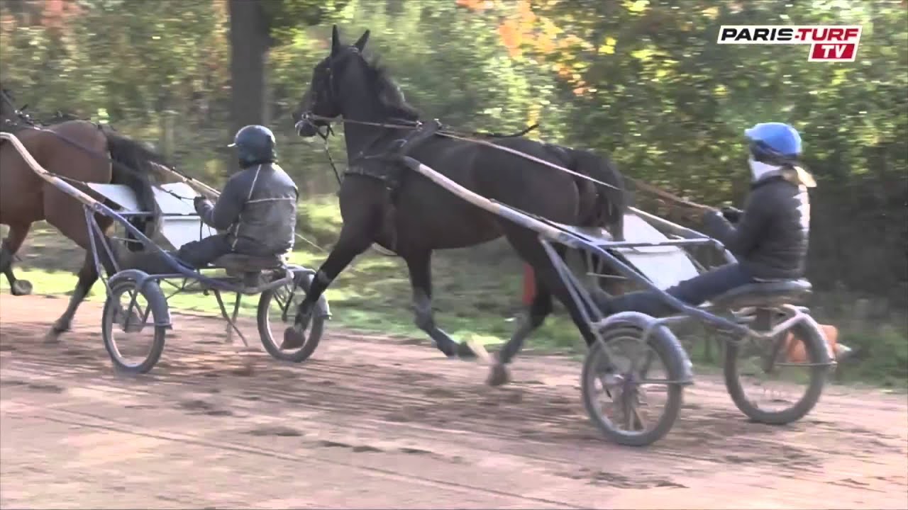 Paris-Turf TV - Grosbois : en immersion...