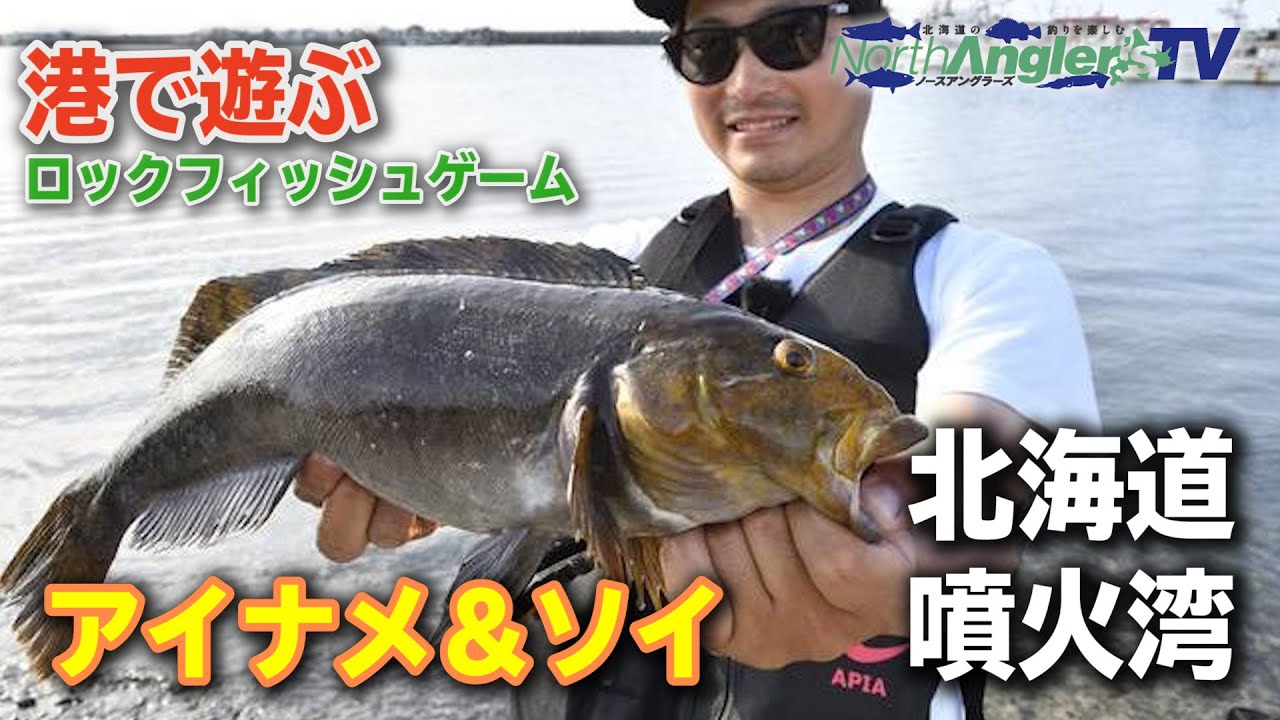 港で遊ぶロックフィッュゲーム【アイナメ＆ソイ】北海道／噴火湾