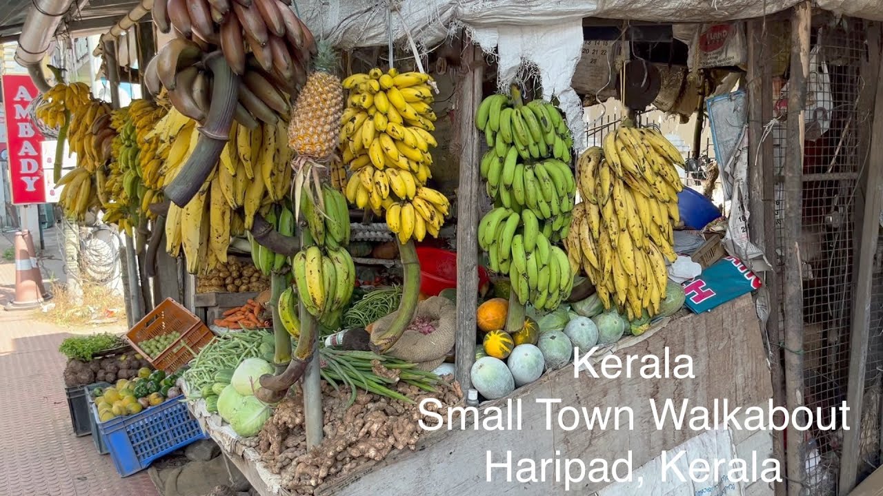 Sidewalk Stall in India - God's Country, Walkabout - Haripad Town
