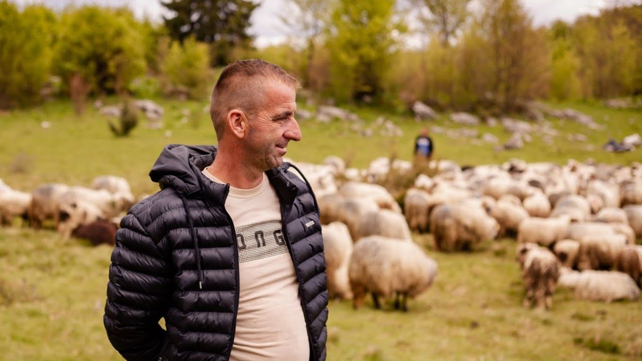 Bio na najmu, pa uzeo ovcu, a DANAS IMA STADO!