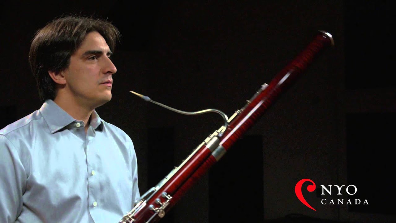 Play With The Masters - Mathieu Harel, Bassoon 1 of 4