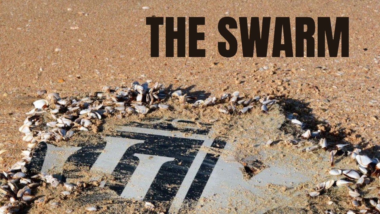 The Debris Swarm [Deep Dive: MH370 S1Ep19]