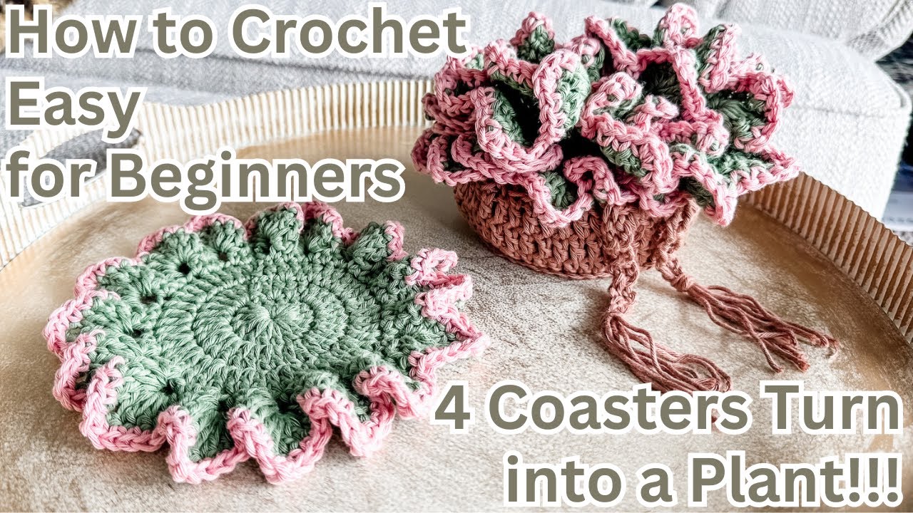 Flora Vera Crochet Pattern: Transforming Coasters into a Succulent House Plant