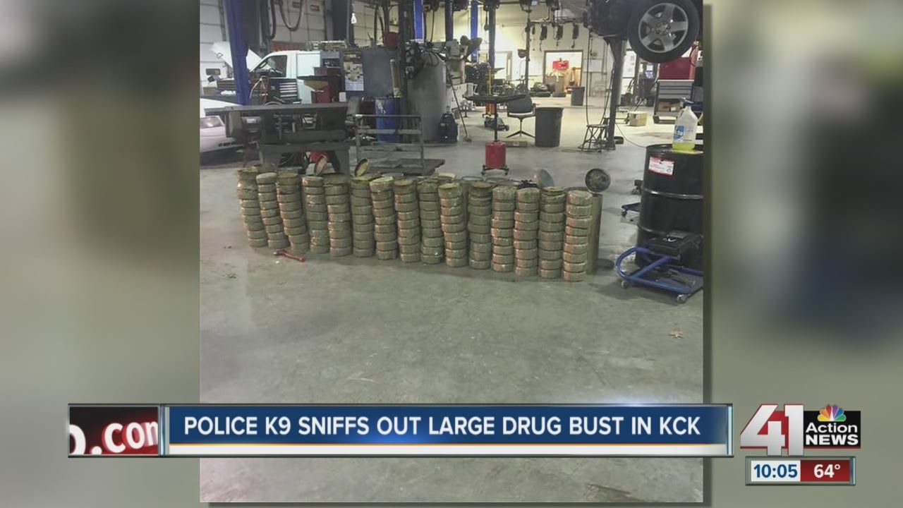 Police K-9 sniffs out more than 250 pounds of marijuana in KCK drug bust