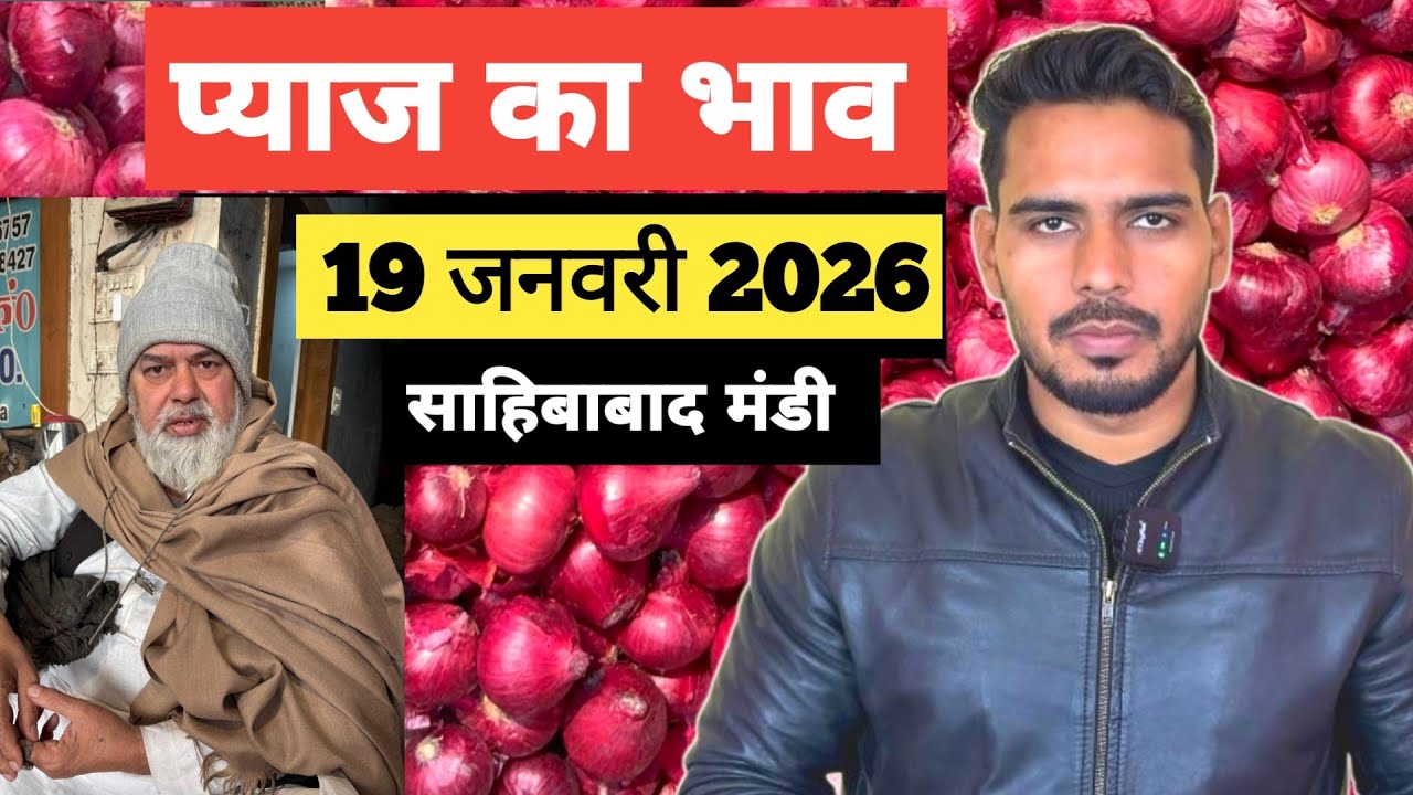 19 January 2026 🧅 प्याज का भाव साहिबाबाद मंडी | today onion rates #delhimandi #onion #todayonion 
