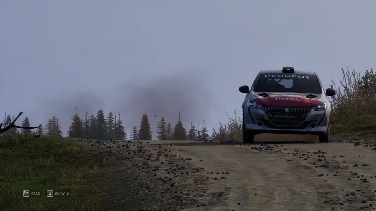 Peugeot 208 Rally4 at Cwmbiga | Afon Biga [Assetto Corsa Rally]