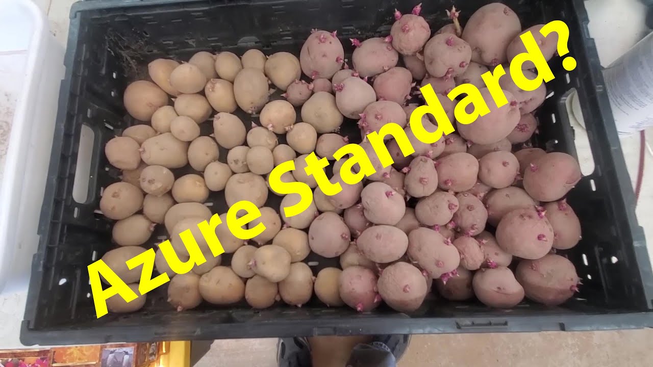 February 6th Update, Azure Standard, And More