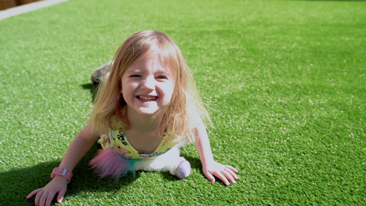 Alternative Grass