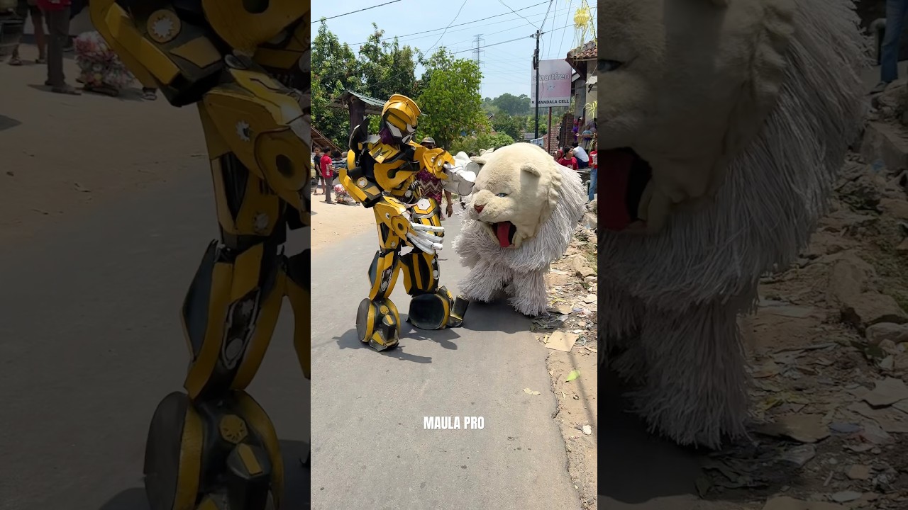 Can macanan berantem dengan robot