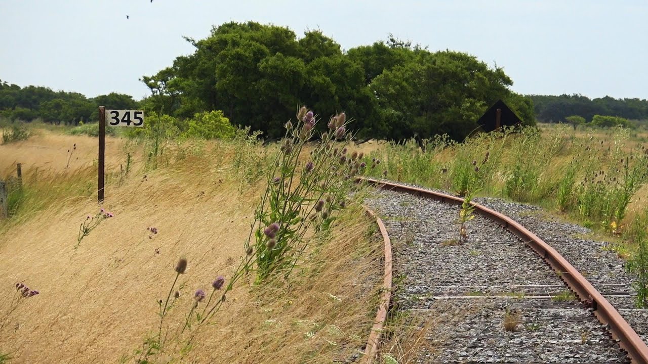 Así está el abandonado ramal a PINAMAR.. Enero 2026