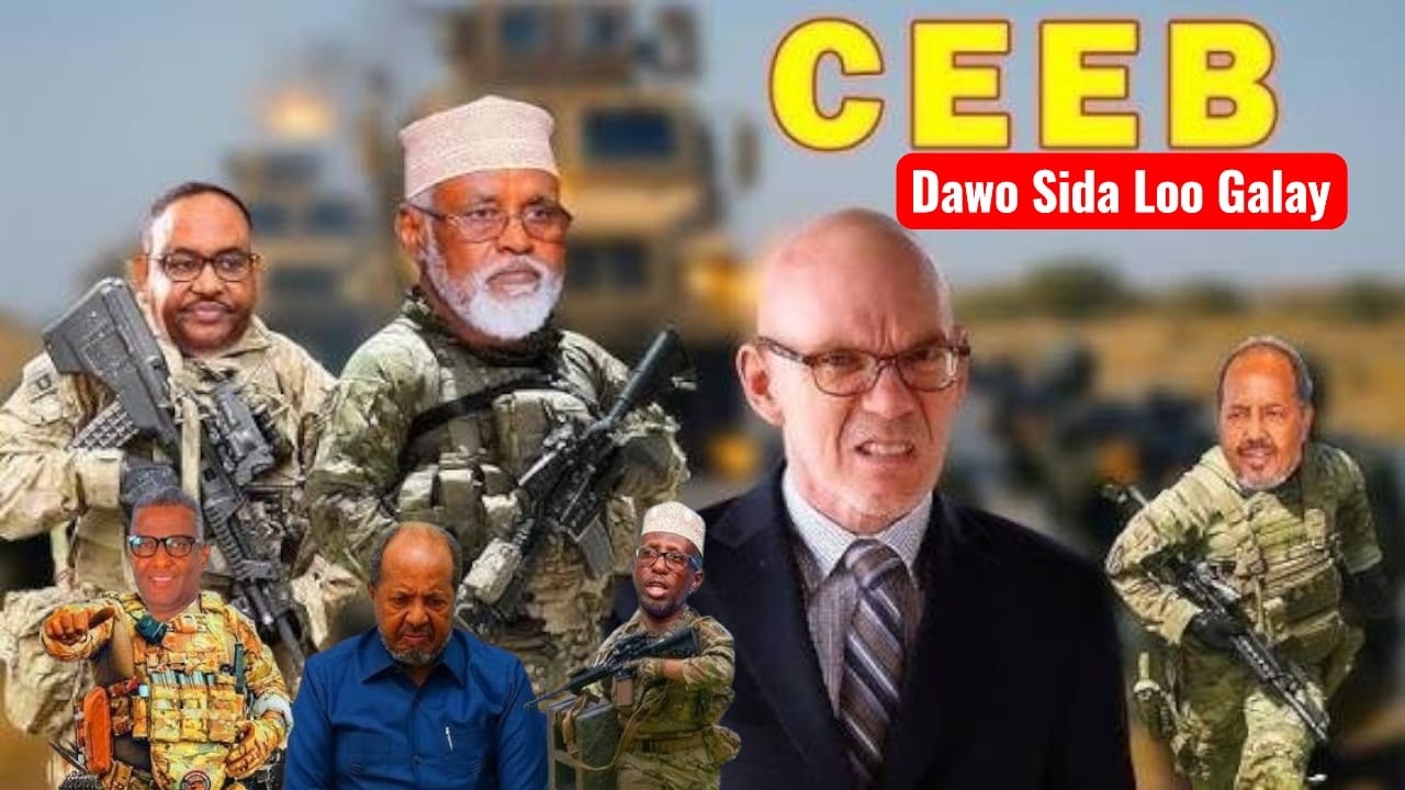 Toos Wakiilada beesha caalamka oo xanibaad Saaray siciid denni iyo axmed madoobe, Goaanka la Duldhgy