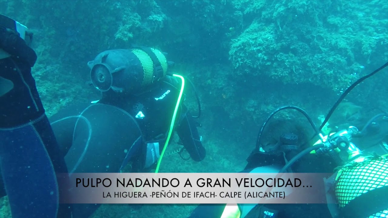 Buceo en 