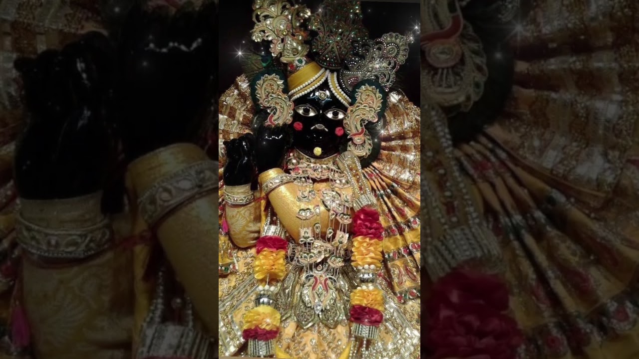 बोलो वृंदावन श्री बांके बिहारी लाल की जय | Vrindavan Banke Bihari ji ke darshan #bankebihari #shyam