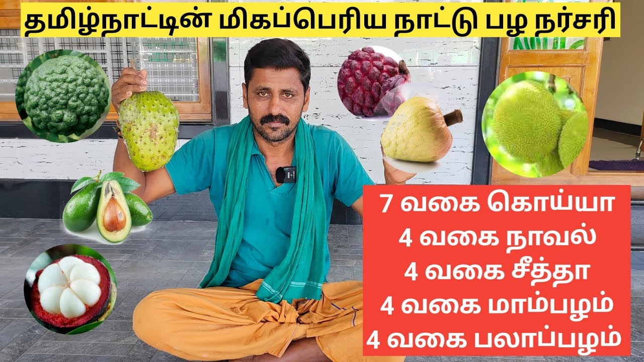 30 வகையான அரிய நாட்டு பழ மரங்கள் கொண்ட மிகப் பெரிய நர்சரி | Mohan Nursery Coimbatore