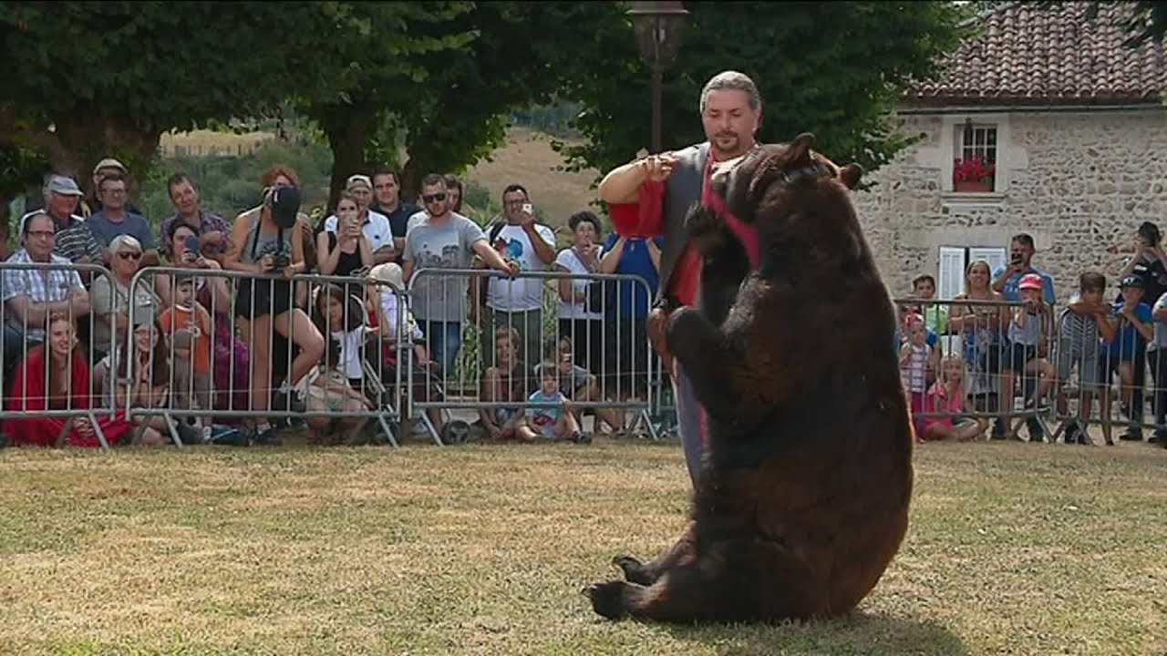 Le spectacle de montreur d'ours fait polémique à Lusignan