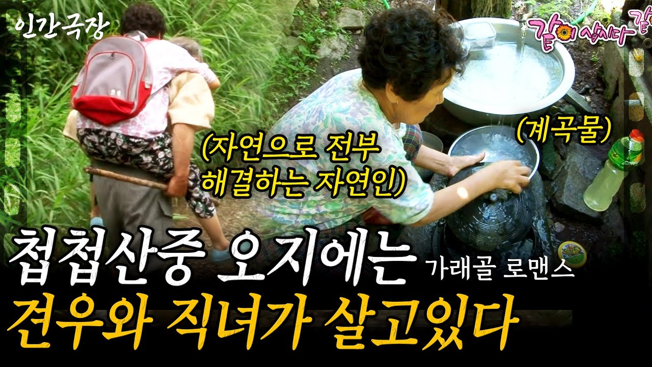 1부🎞️ 17살에 시집와 전기도 없이 오지에 살고 있는 자연인 견우와 직녀!💗 50년이 흘렀어도 아직 신혼인 황혼 로맨스! ㅣ가래골 로맨스ㅣKBS 2011.08.15