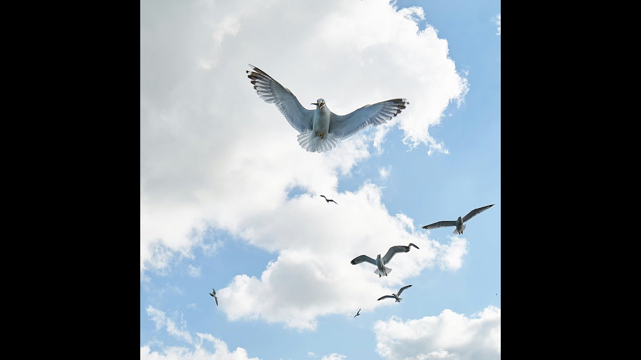 Aquarius. This inner-work will guide you towards the fulfillment you deserve