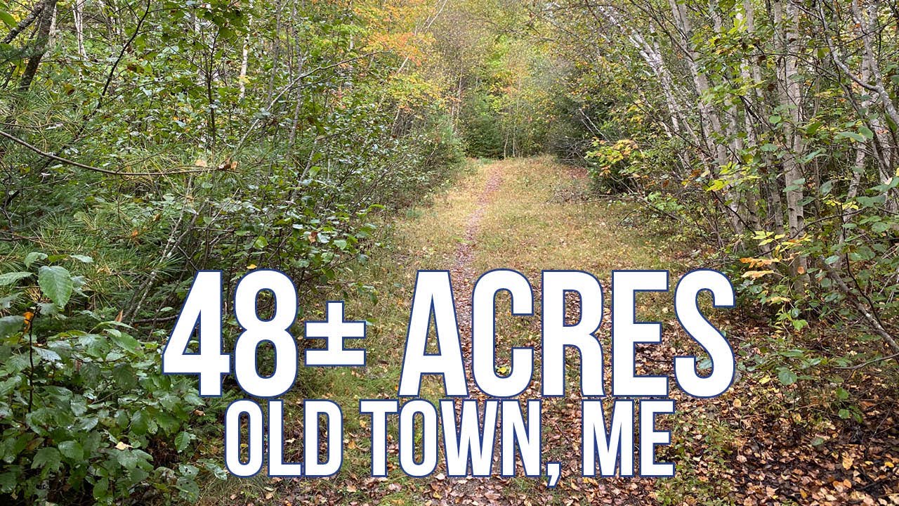 48± Acres Surrounded by Conservation | Maine Real Estate
