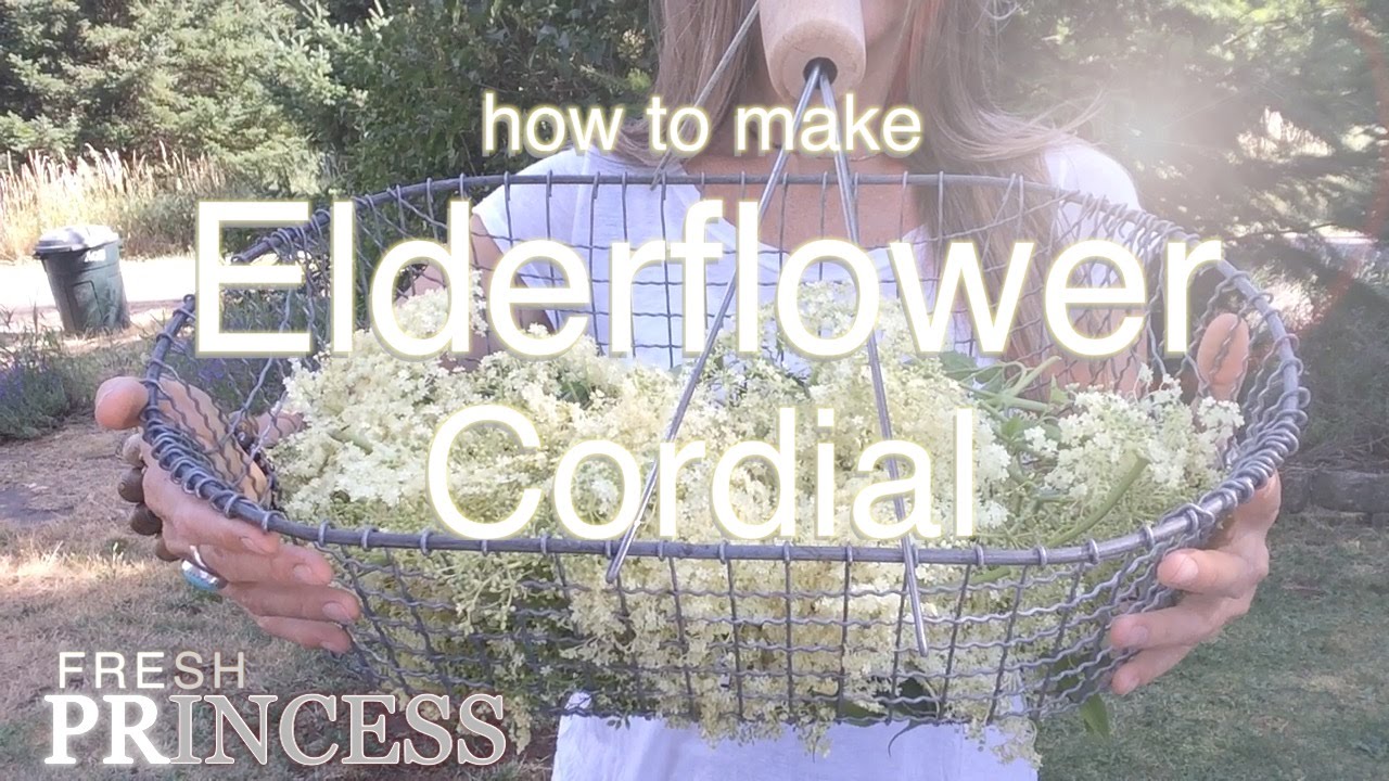 How to Make Elderflower Cordial with Honey |  Fresh P