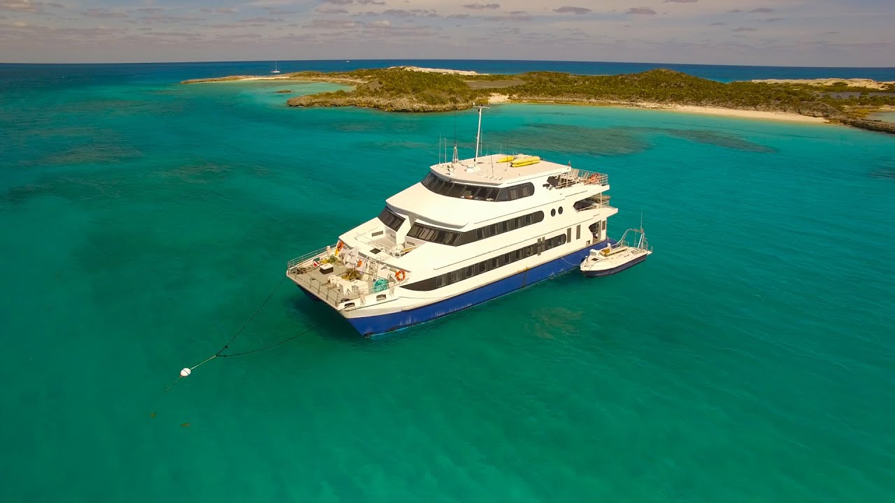 Aqua Cat Cruises