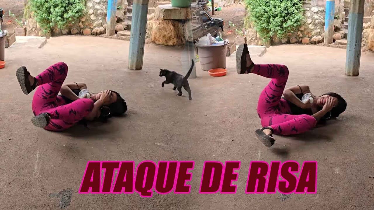 Angela fue atacada por una risa extrema🤣😂