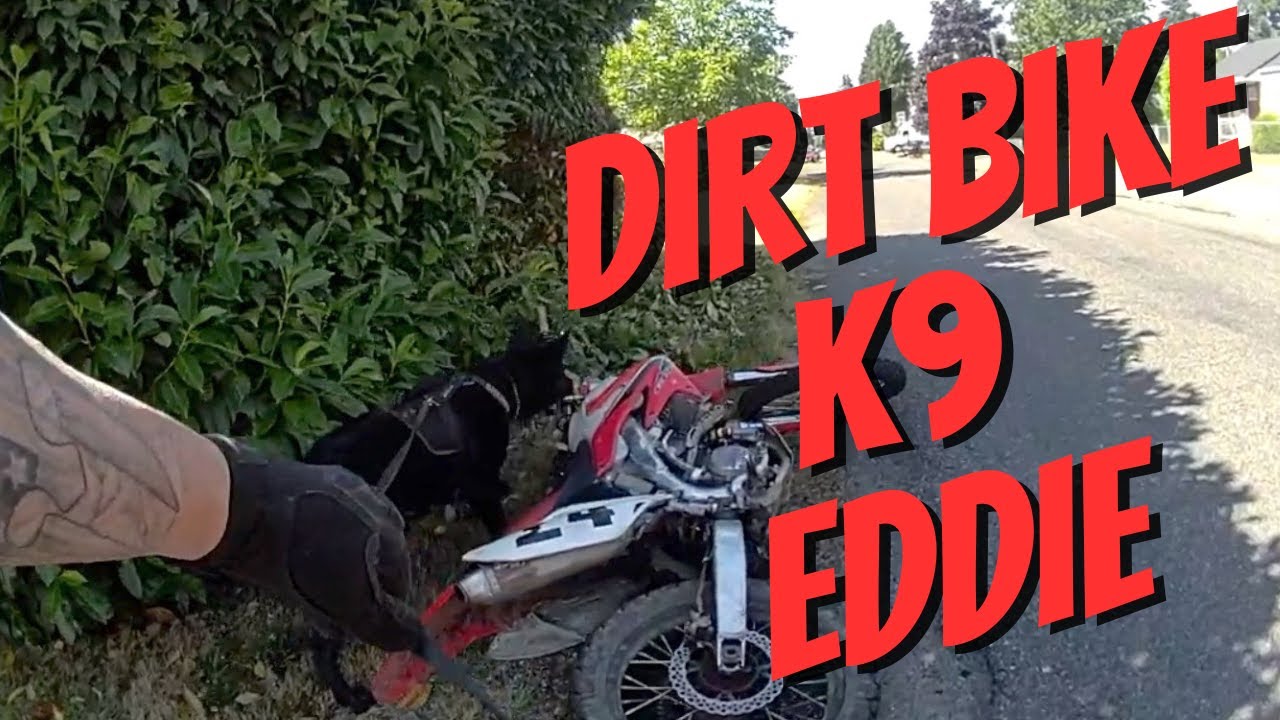 K9 Track for Dirt Bike Rider